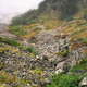 Image for article titled Can you find the sniper hiding with camouflage in this picture?